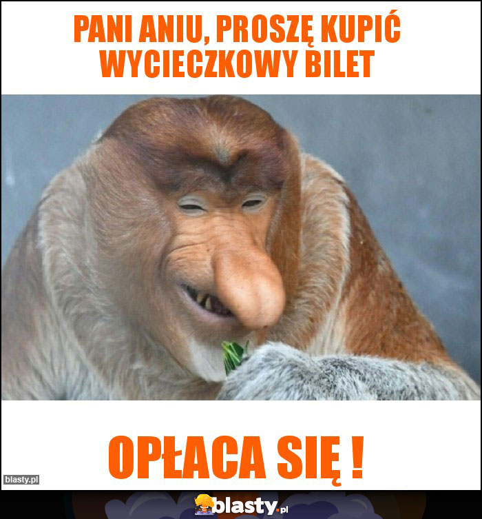 Pani Aniu, proszę kupić wycieczkowy bilet
