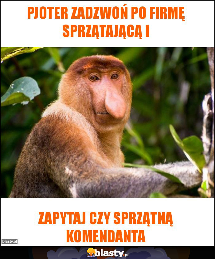 Pjoter zadzwoń po firmę sprzątającą i