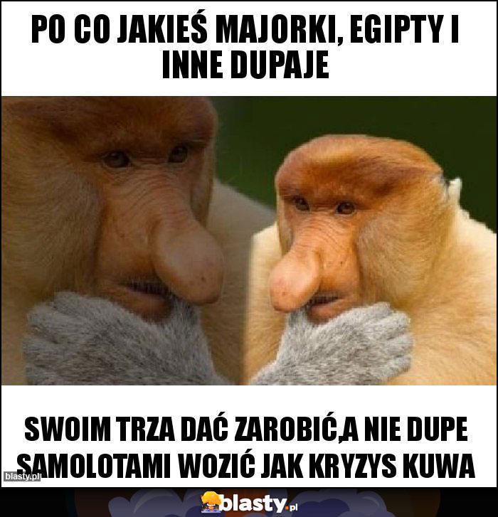Po co jakieś majorki, Egipty I inne Dupaje