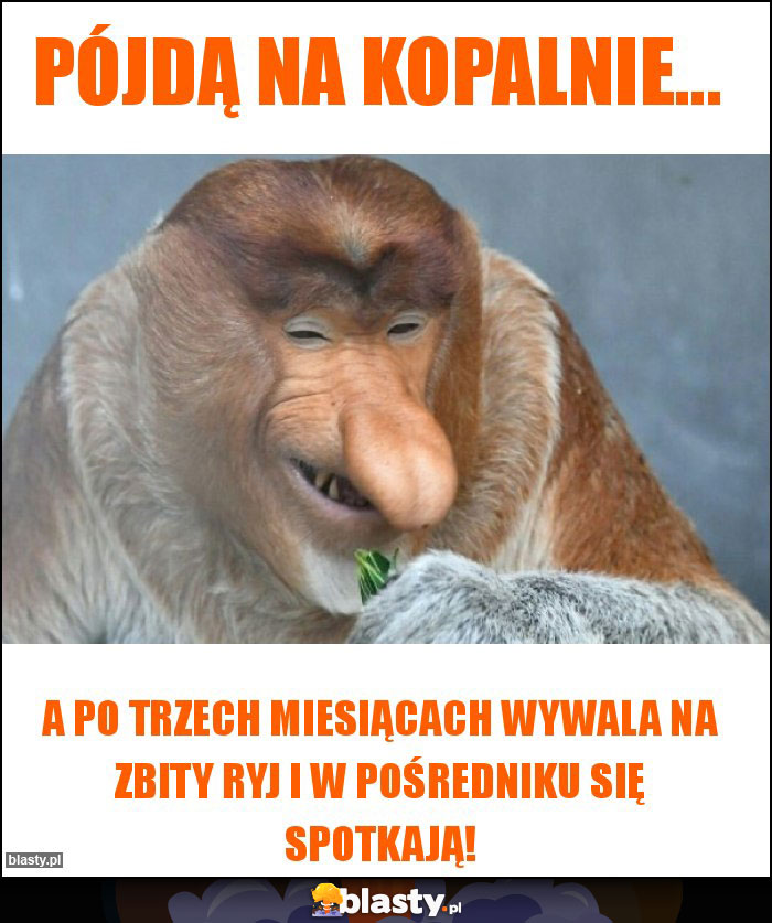 Pójdą na kopalnie...
