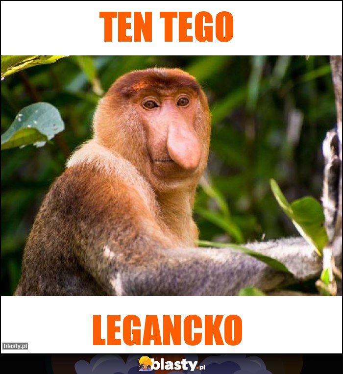 TEN TEGO