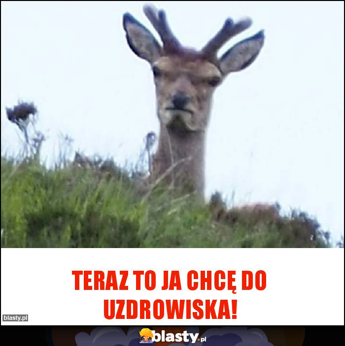Teraz to ja chcę do uzdrowiska!