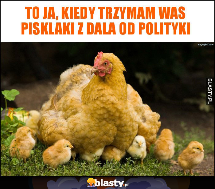 To ja, kiedy trzymam Was pisklaki z dala od polityki