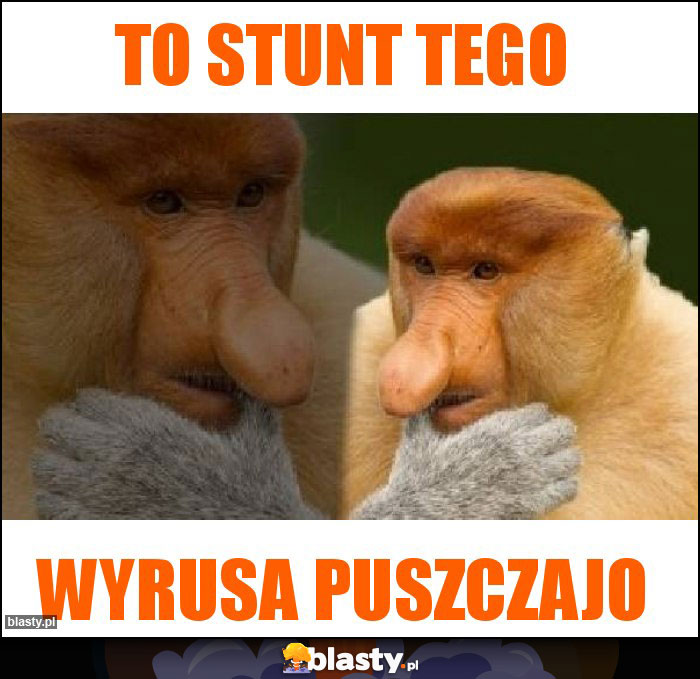 To Stunt tego