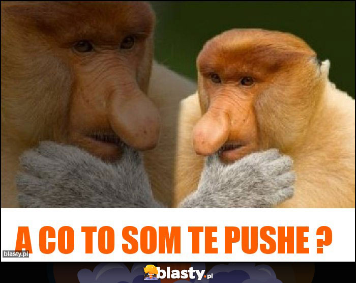 A co to som te pushe ?