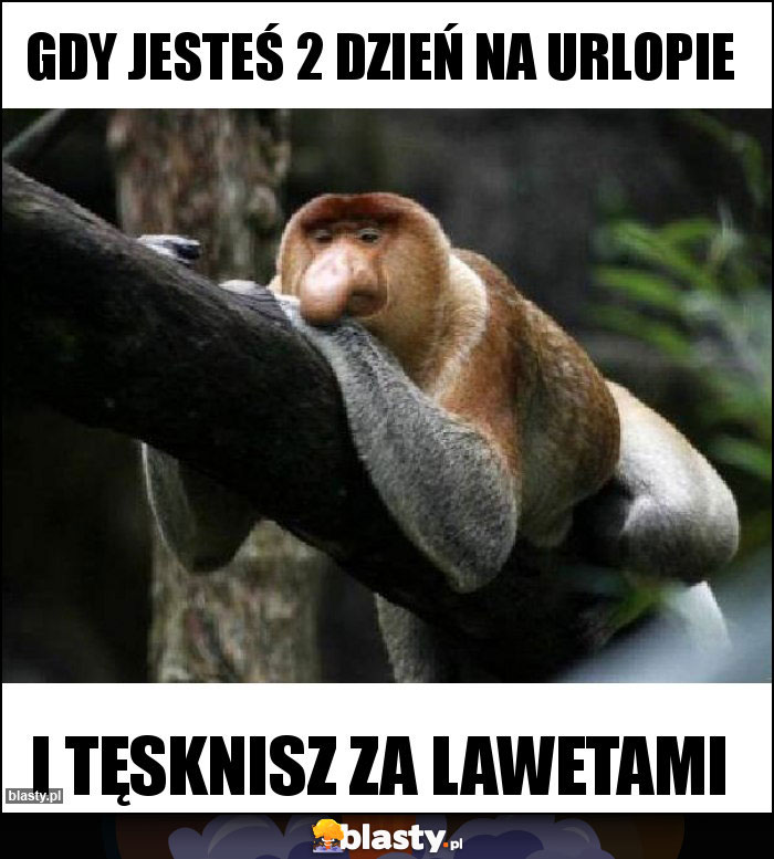 Gdy jesteś 2 dzień na urlopie