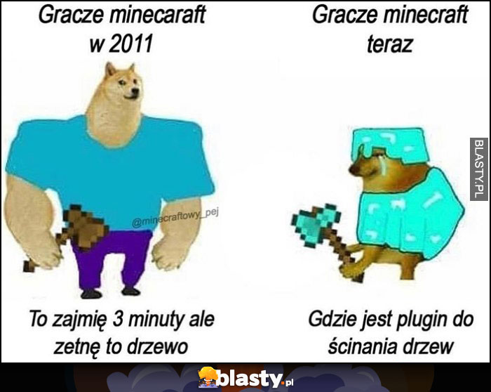 Gracze Minecraft w 2011 to zajmie 3 minuty ale zetnę to drzewo vs teraz: gdzie jest plugin do ścinania drzew pies pieseł doge