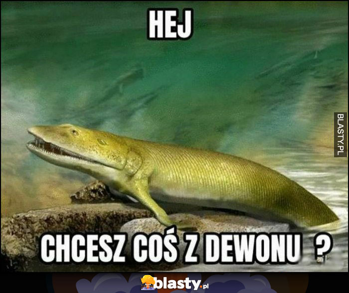 Hej, chcesz coś z dewonu? Avonu