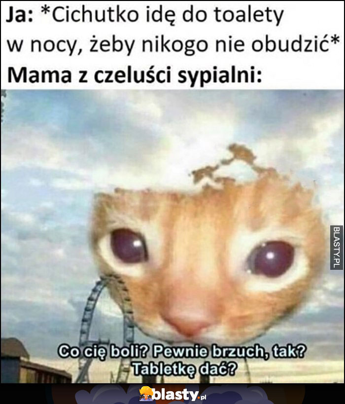 Ja cichutko idę w nocy do toalety, żeby nikogo nie obudzić, mama z czeluści sypialni: co cię boli, pewnie brzuch? Tabletkę dać?