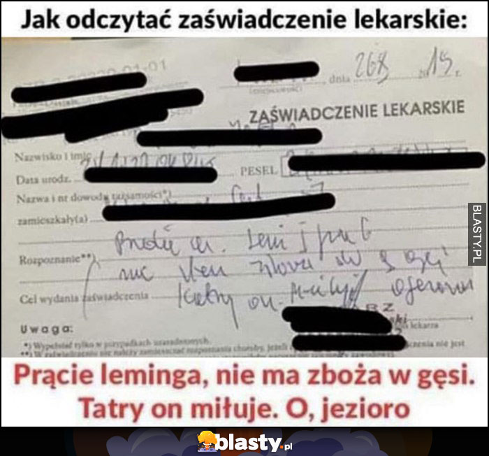 Jak odczytać zaświadczenie lekarskie: prące leminga, nie ma zboża w gęsi. Tatry on miłuje, o jezioro