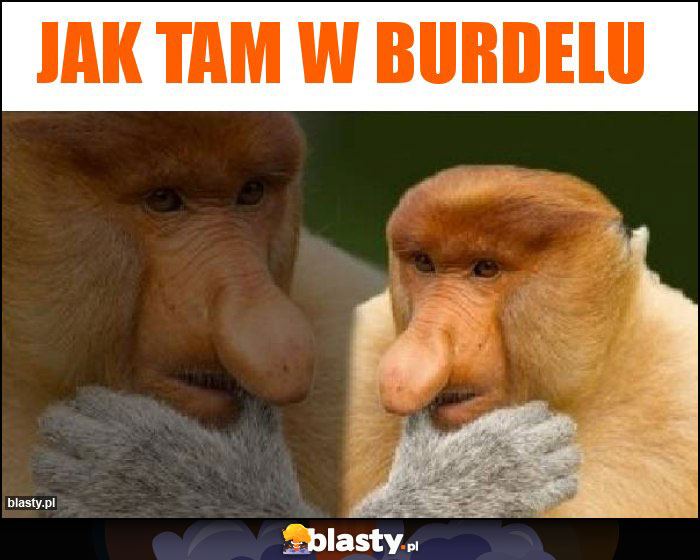 Jak tam w burdelu