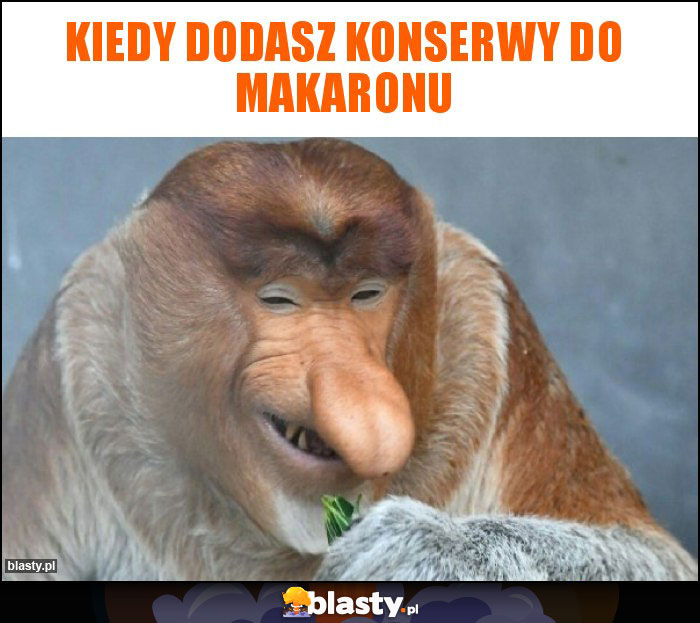 Kiedy dodasz konserwy do makaronu