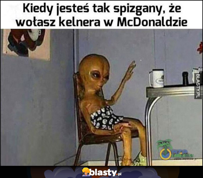 Kiedy jesteś tak spizgany, że wołasz kelnera w McDonaldzie ufo obcy alien