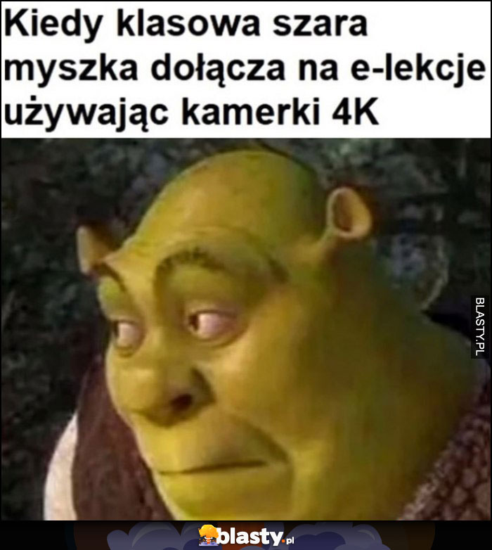 Kiedy klasowa szara myszka dołącza na e-lekcje używając kamerki 4K Shrek