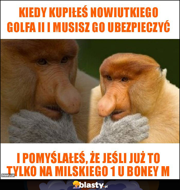 Kiedy kupiłeś nowiutkiego Golfa II i musisz go ubezpieczyć