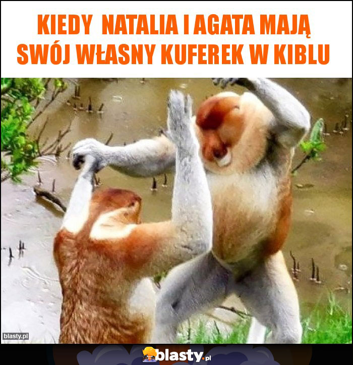 Kiedy  Natalia i Agata mają swój własny kuferek w kiblu