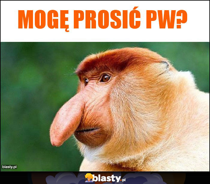 Mogę prosić pw?