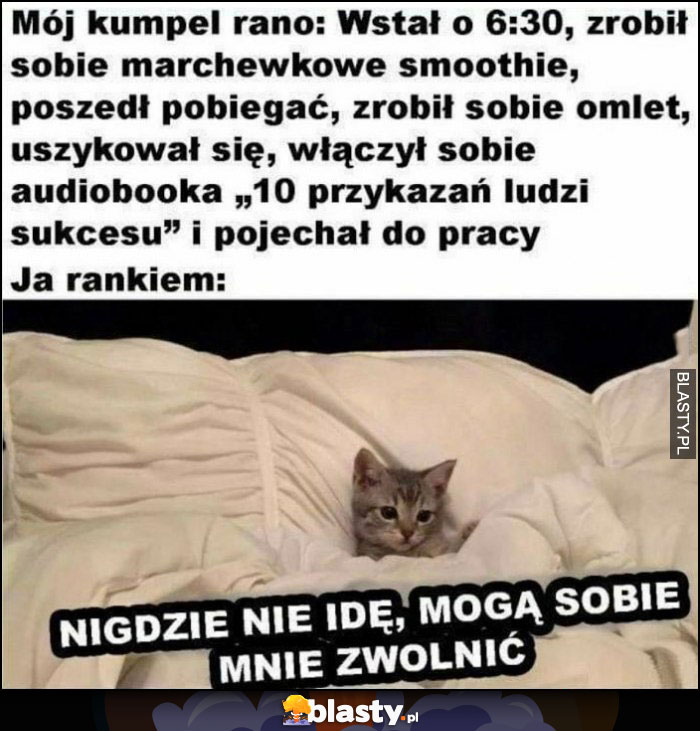 Mój kumpel rano vs ja rano: nigdzie nie idę, mogą sobie mnie zwolnić kot kotek