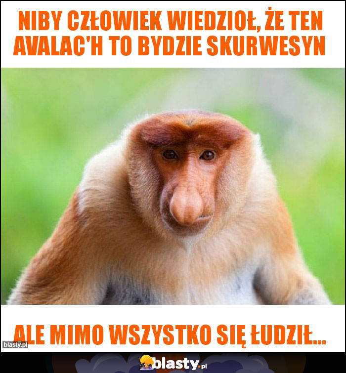 Niby człowiek wiedzioł, że ten Avalac'h to bydzie skurwesyn