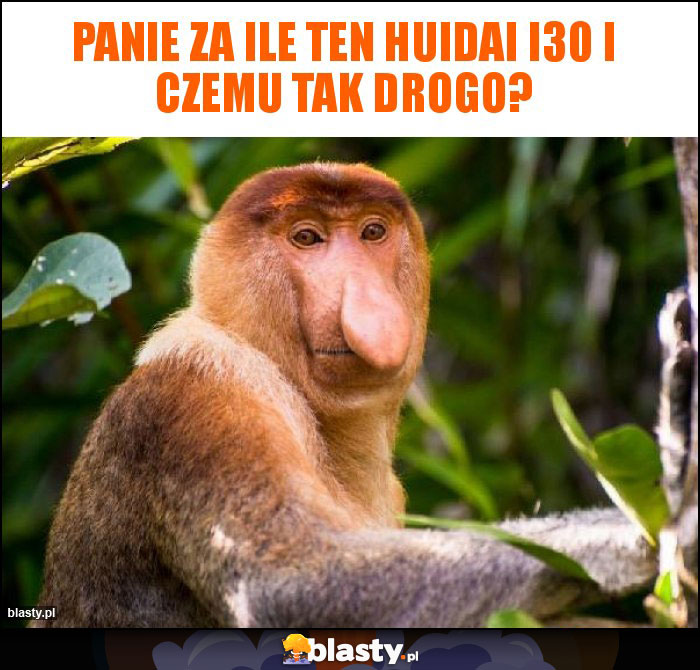 Panie za ile ten HuIdai i30 i czemu tak drogo?