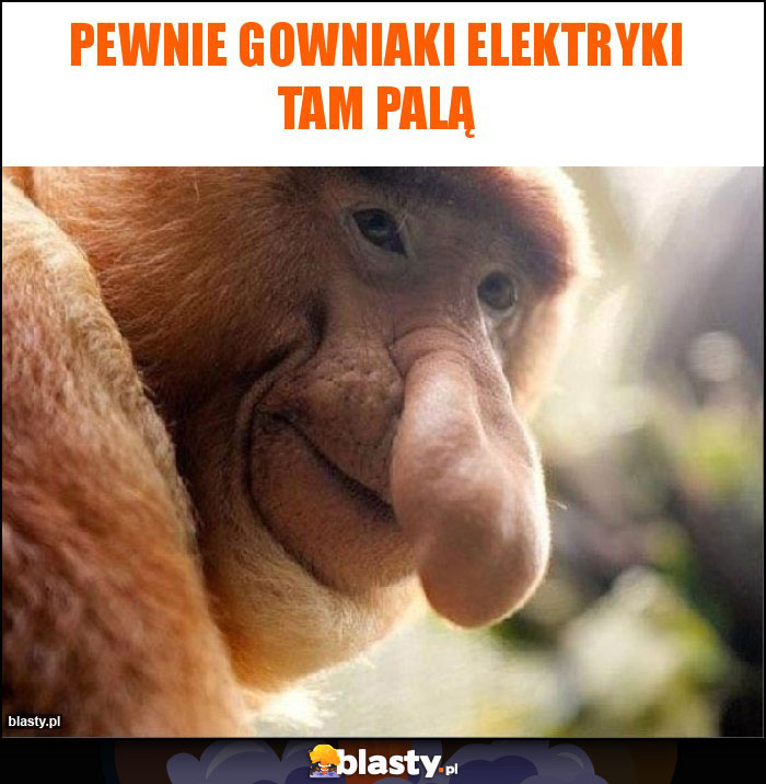 Pewnie gowniaki elektryki tam palą