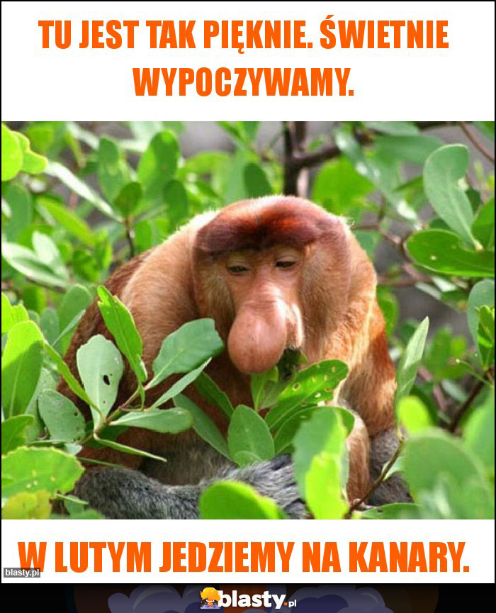 Tu jest tak pięknie. Świetnie wypoczywamy.