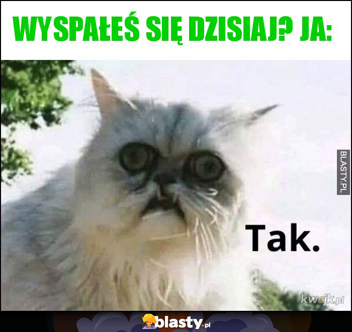 Wyspałeś się dzisiaj? Ja: