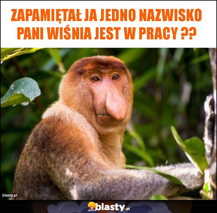 Zapamiętał ja jedno nazwisko Pani Wiśnia jest w pracy ??