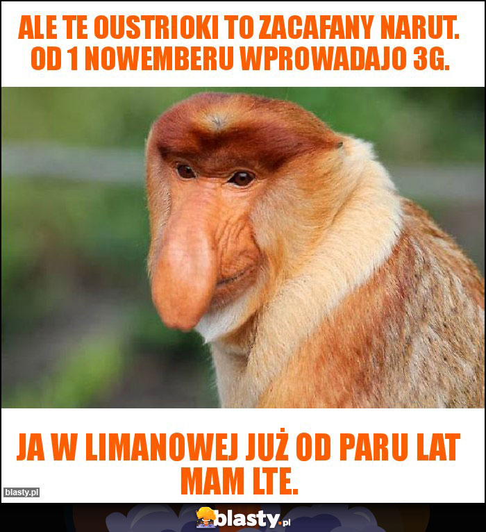 Ale te Oustrioki to zacafany narut. Od 1 nowemberu wprowadajo 3G.