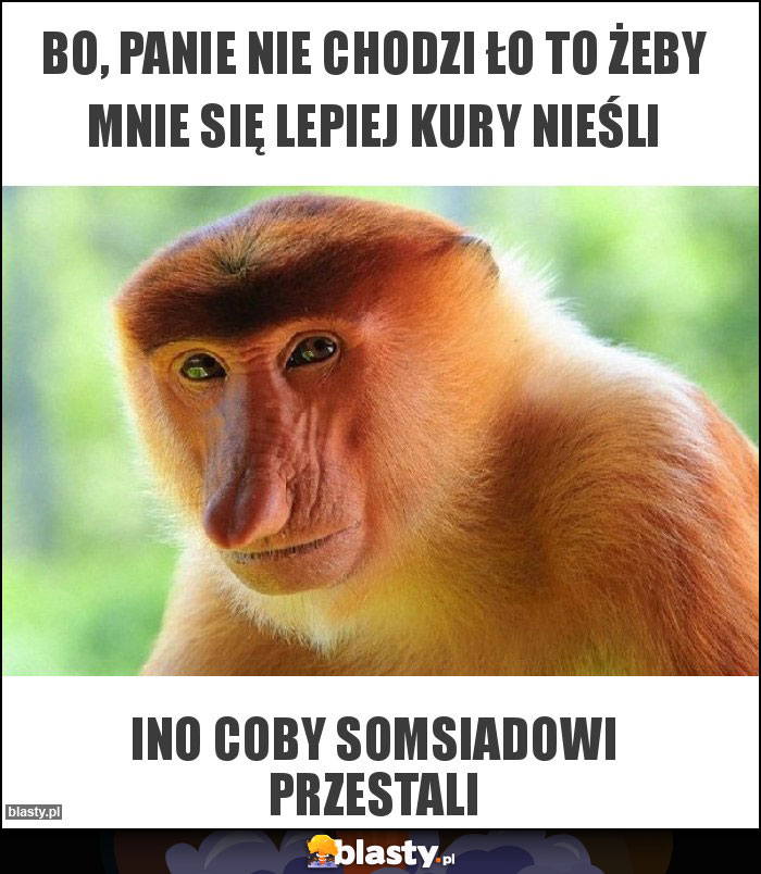 Bo, panie nie chodzi Ło to żeby mnie się lepiej kury nieśli