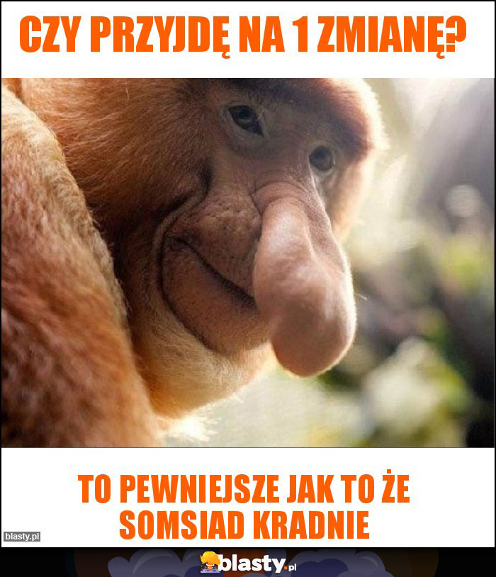 Czy przyjdę na 1 zmianę?