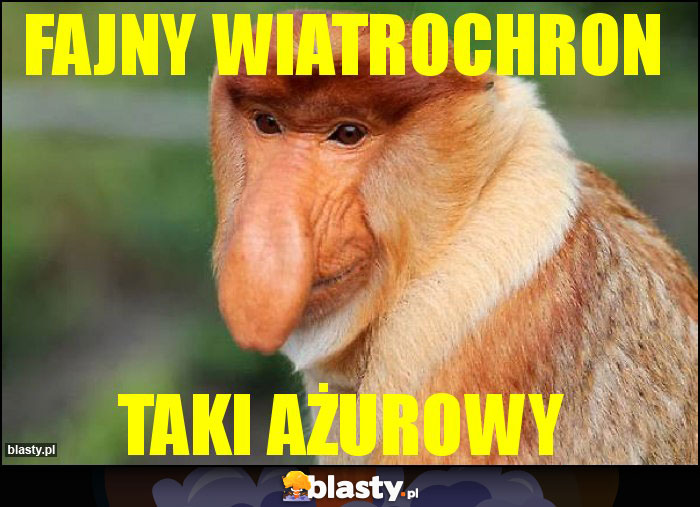 Fajny wiatrochron