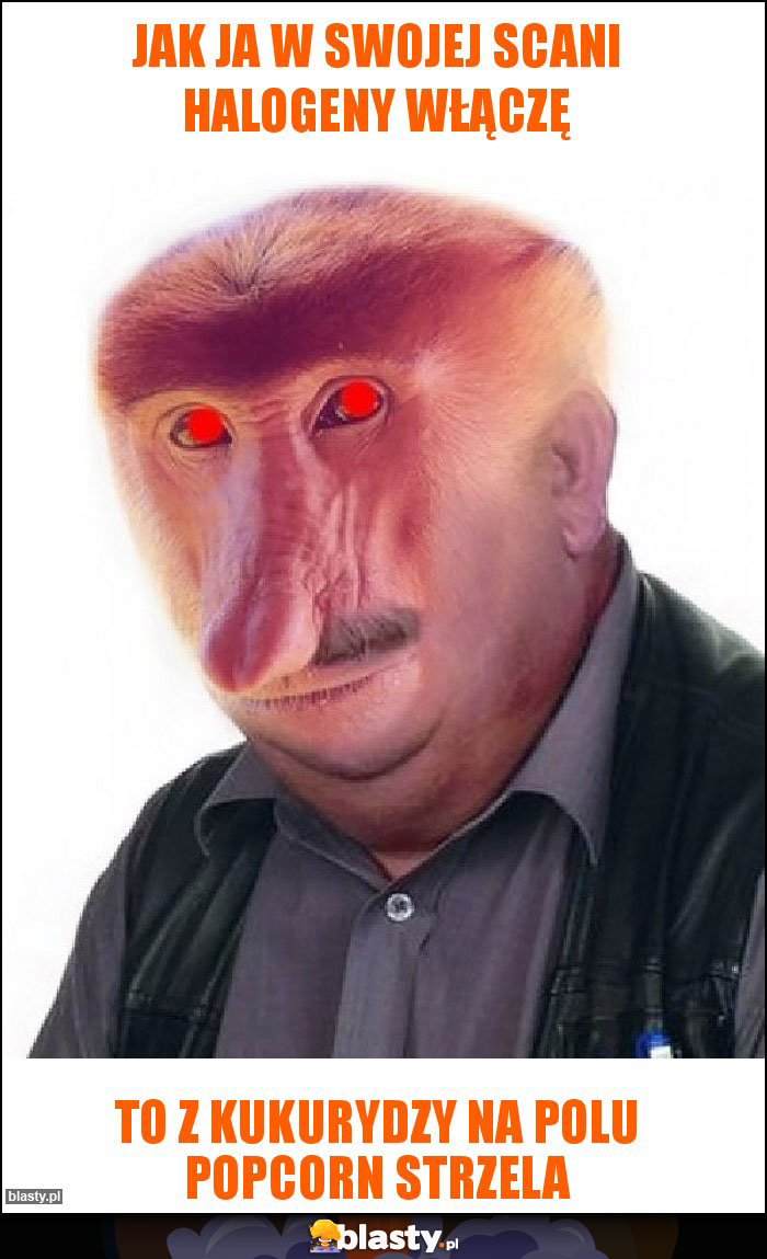 Jak ja w swojej scani halogeny włączę