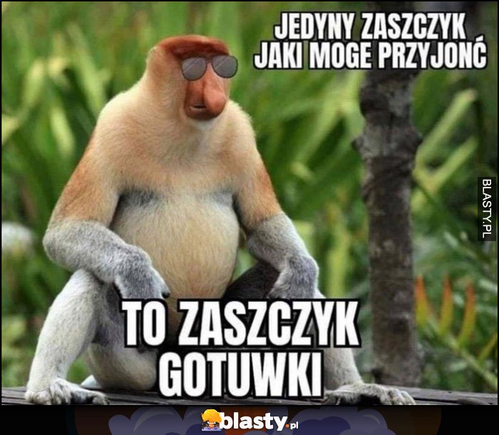 Jedyny zastrzyk jaki mogę przyjąć to zastrzyk gotówki Polak nosacz małpa