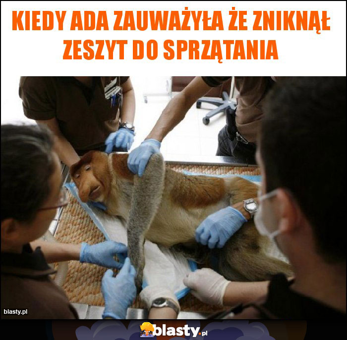 Kiedy Ada zauważyła że zniknął zeszyt do sprzątania