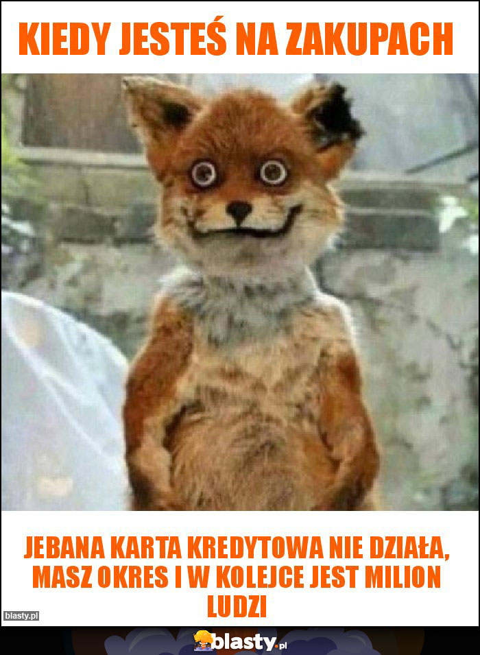 Kiedy jesteś na zakupach