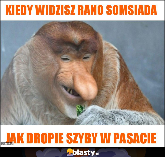 Kiedy widzisz rano somsiada