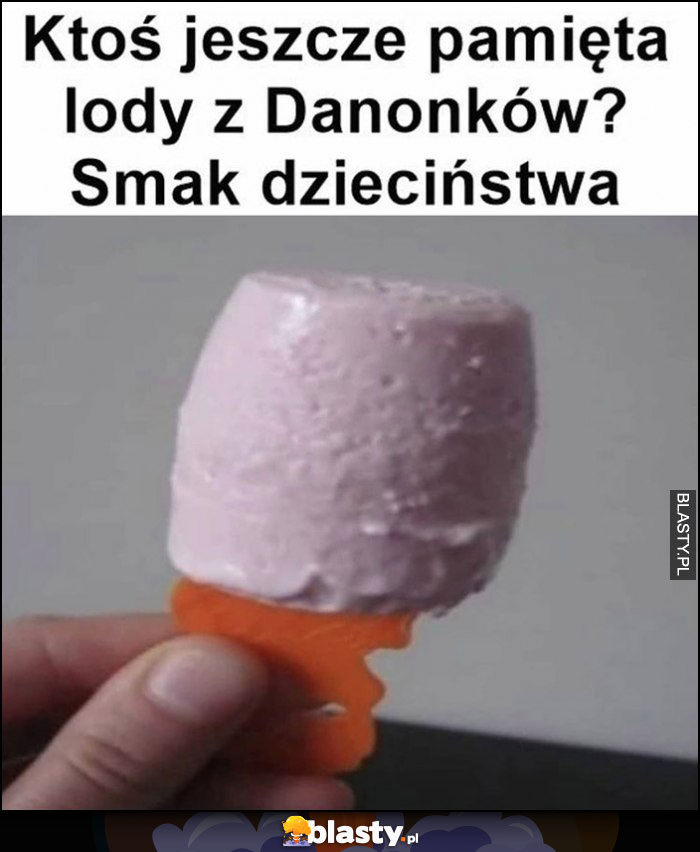 Ktoś jeszcze pamięta lody z Danonków? Smak dzieciństwa