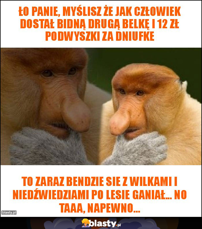 ło Panie, myślisz że jak człowiek dostał bidną drugą belkę i 12 zł podwyszki za dniufke
