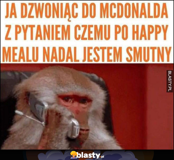 Małpa ja dzwoniąc do McDonalda z pytanie czemu po happy mealu nadal jestem smutny
