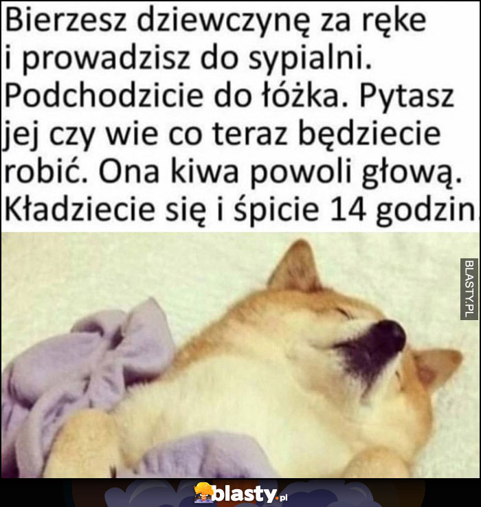 Pies pieseł bierzesz dziewczynę za rękę, prowadzisz do sypialni, podchodzicie do łóżka, pytacz czy wie co teraz będziecie robić, powoli kiwa głową, kładziecie się i śpicie 14 godzin