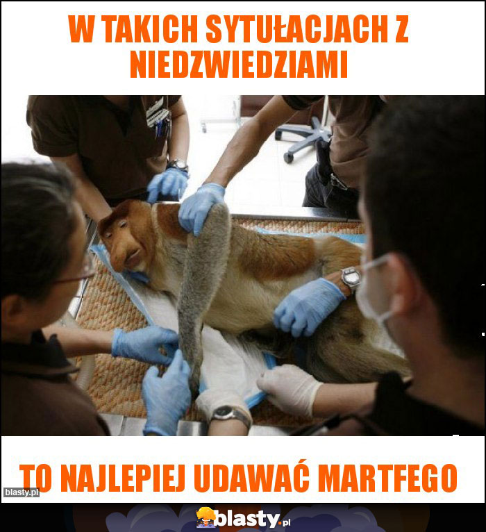w takich sytułacjach z niedzwiedziami