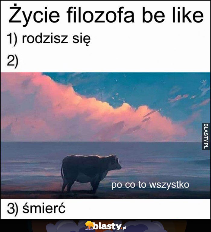 Życie filozofa w skrócie: rodzisz się, po co to wszystko, śmierć krowa