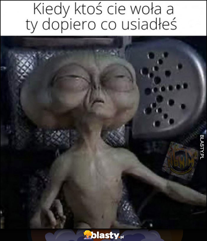 Kiedy ktoś cię woła a ty dopiero co usiadłeś UFO ufok alien obcy