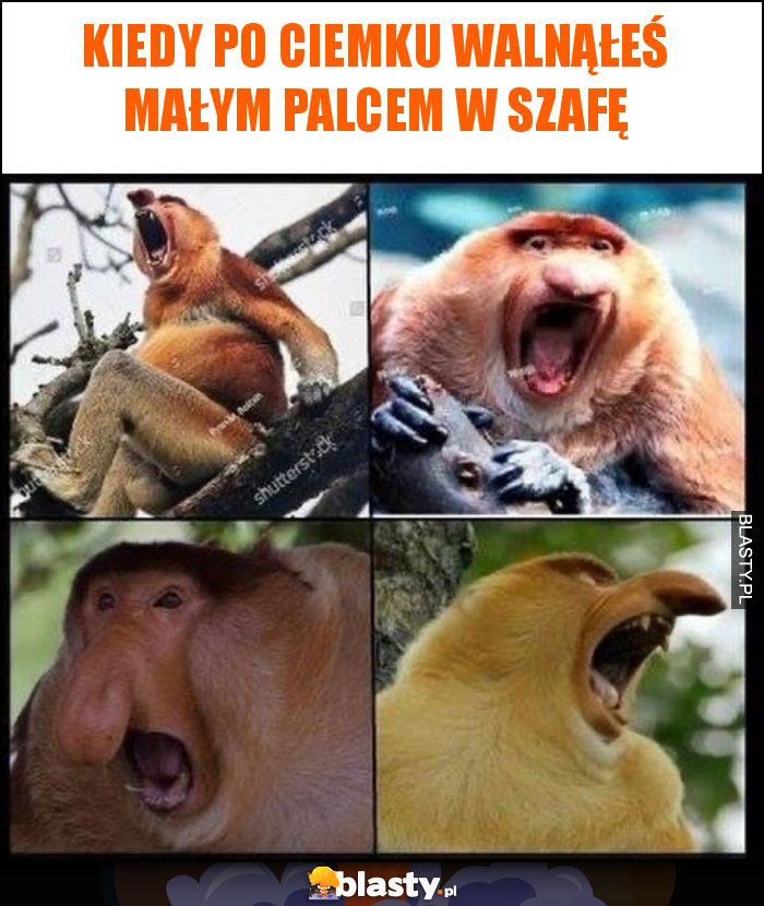 kiedy po ciemku walnąłeś małym palcem w szafę