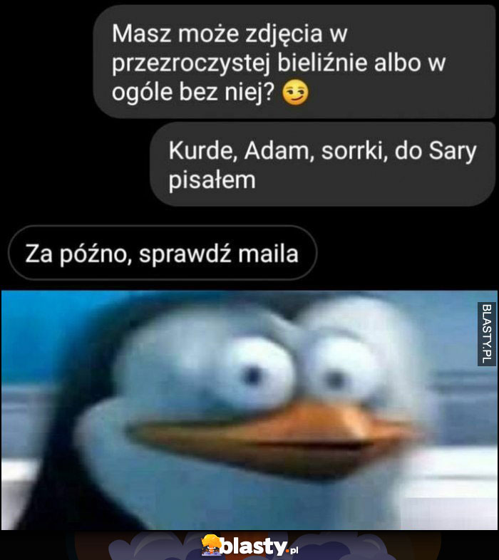 Masz może zdjęcia w przezroczystej bieliźnie albo w ogóle bez niej? Kurde, Adam sorki, do Sary pisałem. Za późno sprawdź maila zdziwiony pingwin