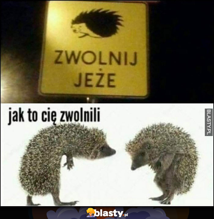 Znak zwolnij jeże, jak to cię zwolnili?