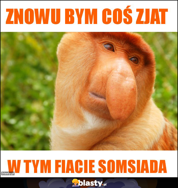 ZNOWU BYM COŚ ZJAT
