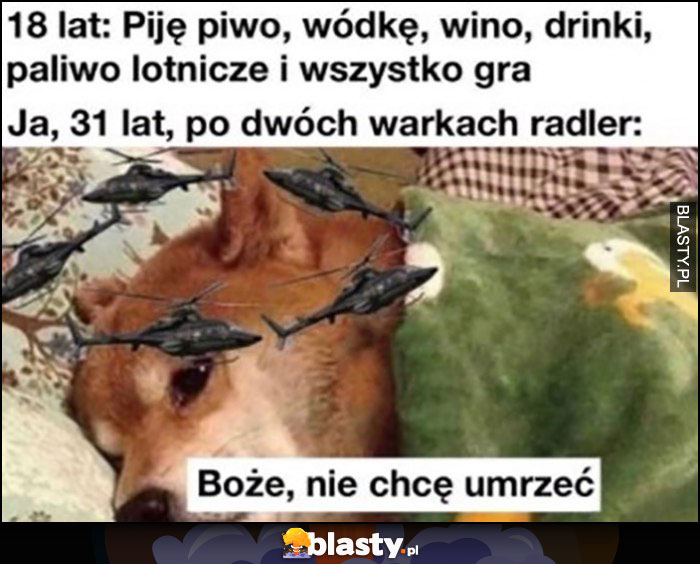 18 lat: piję piwo, wódkę, wino, drinki i wszystko gra vs 31 lat po dwóch Warka Radler pies pieseł helikopter Boże chcę umrzeć