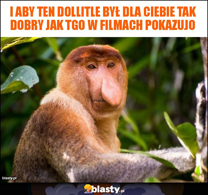I aby ten Dollitle był dla ciebie tak dobry jak tgo w filmach pokazujo